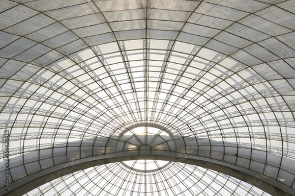 Fototapeta greenhouse symmetrical dome curved structure seen from below