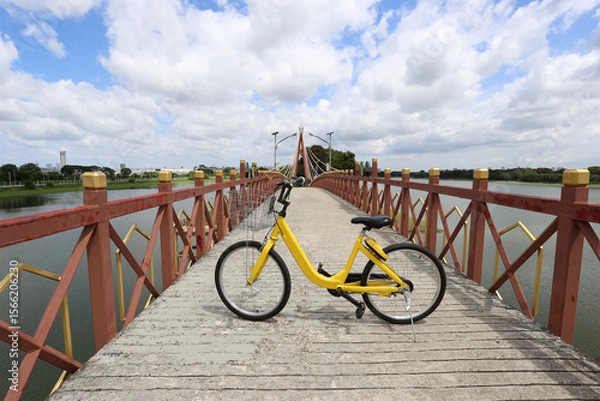Obraz Bicycle on road in the garden at city park