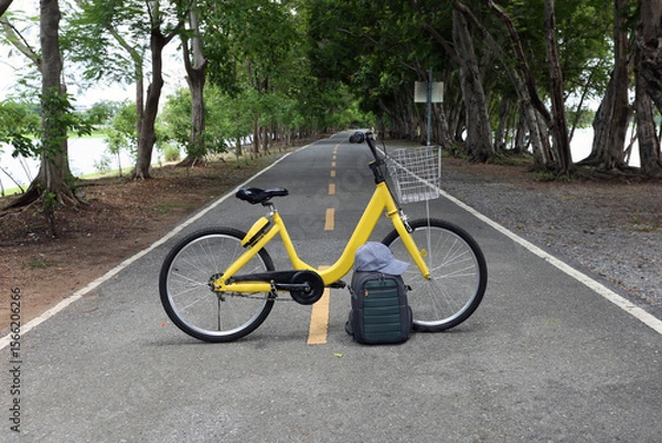 Obraz Bicycle and bag on road in the garden at city park