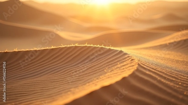 Fototapeta A detailed HD capture of soft sand dunes under golden sunlight, wind-sculpted ridges casting long shadows across the rippled surface -
