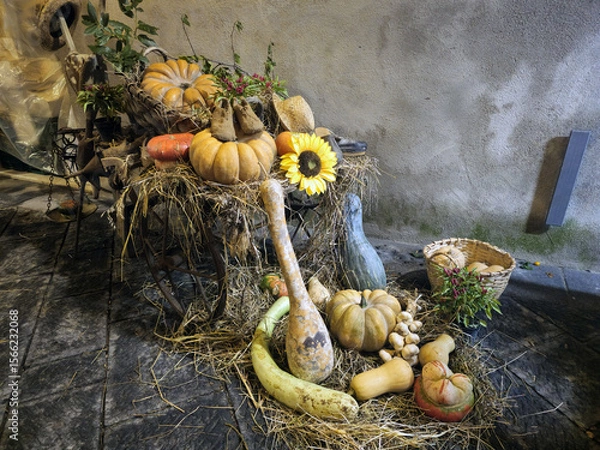 Obraz Autumn Harvest Display