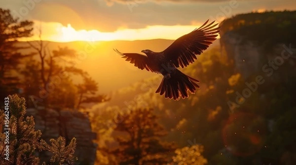 Obraz Bird soaring high above a serene mountain landscape during golden hour
