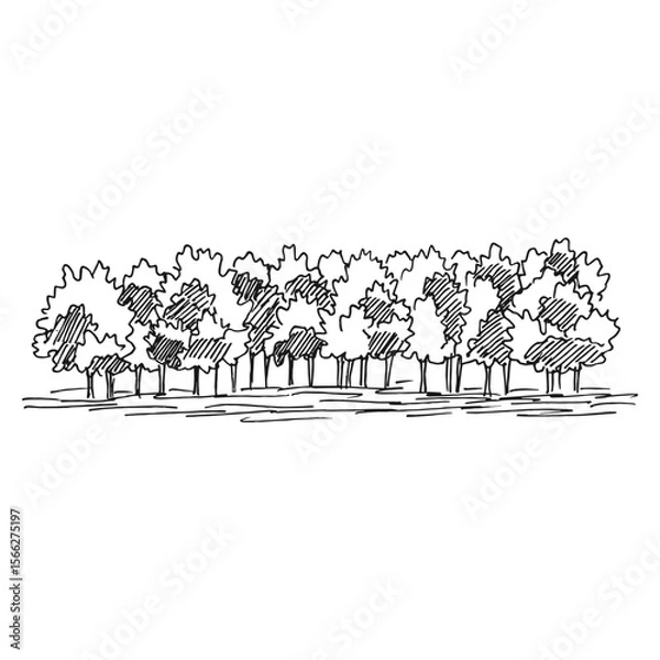 Obraz Nature illustration with forest. Hand drawn vector.