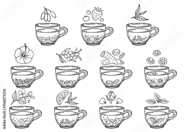 Obraz Set glass mugs of tea. Medicinal tea. Hand drawn vector illustration.