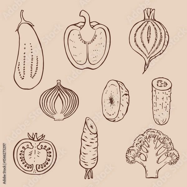 Fototapeta Set of vegetables. Hand drawn vector illustration in outline style.