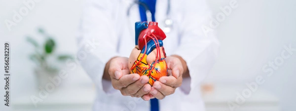 Fototapeta The cardiologist used a stethoscope to check the patient’s heartbeat, providing medicine and support through the health care system to ensure long-term wellness.