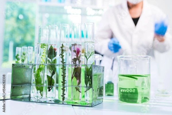 Fototapeta Scientist conducted research in biotechnology, using organic elements from nature to drive innovation and support the development of healthier food, Laboratory concept.