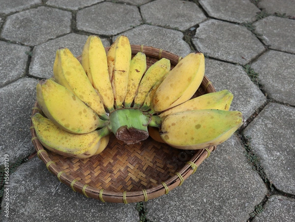 Obraz Yellow ripe Kepok Banana atau pisang kepok matang on wicker bamboo basket isolated on grey paving background. top view