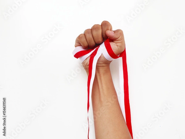 Obraz The hands of a man holding a red and white ribbon as a symbol of the Indonesian flag. Isolated on white background. Independence day concept