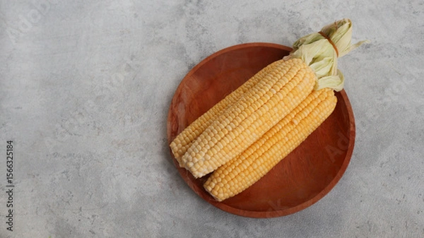 Obraz Fresh yellow corn isolated on grey background