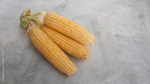 Obraz Fresh yellow corn isolated on grey background