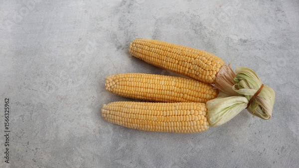 Obraz Fresh yellow corn isolated on grey background