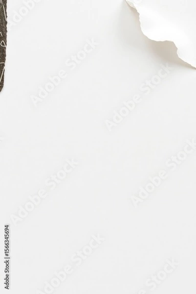 Obraz copy space for text background Collage Aesthetic with Torn Paper concept