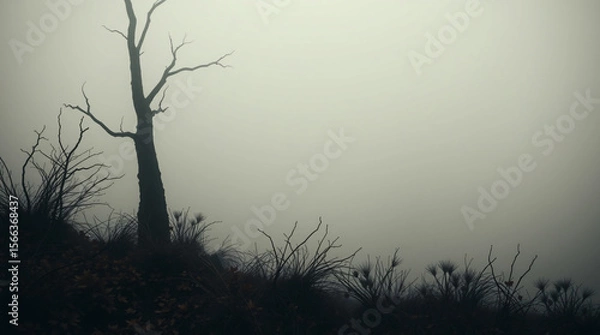 Fototapeta A lone tree in a foggy landscape, creating a moody and tranquil atmosphere.