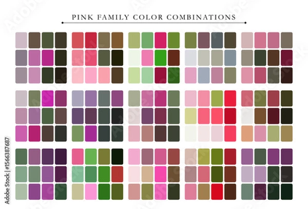 Fototapeta Soft and harmonious pink family color palette, perfect for design, branding, and elegant visuals.