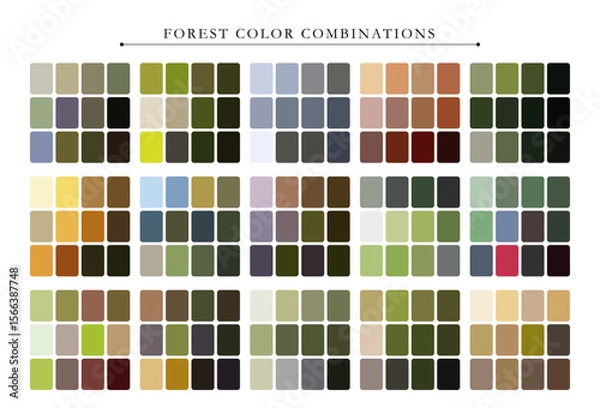 Fototapeta Aesthetic forest color palette with earthy tones, perfect for nature-themed design and digital art.
