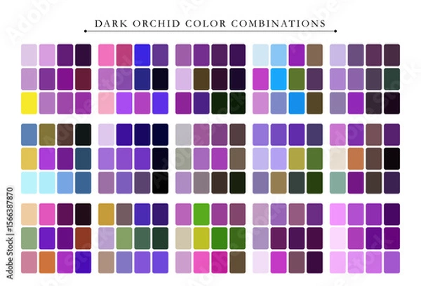 Fototapeta Dark orchid color palette. Trend color palette guide template. Fit for fashion designers, business, and paints colors company. Match combinations. Vector graphics. Eps 10.