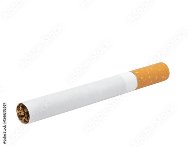 Obraz An unlit cigarette with a detailed view of its tobacco end and textured filter tip.