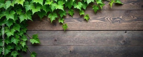 Fototapeta Rustic Wooden Wall Decorated with Elegant Cascading Vines Charming Natural Accent for Home and Garden Design