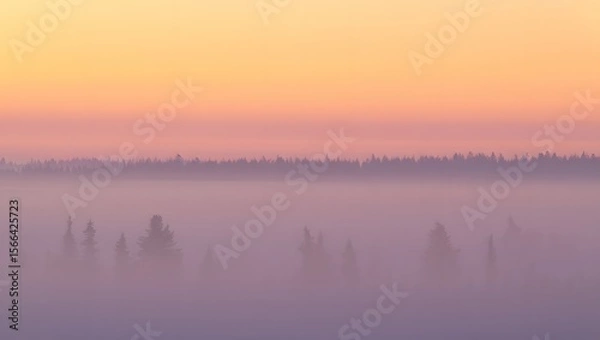 Fototapeta Misty landscape at dawn scenic view with soft pastel colors and ethereal atmosphere
