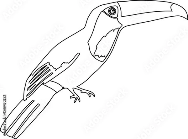 Fototapeta  A detailed line art illustration of a bird, perfect for coloring books, nature-themed designs, and educational printables. Vector EPS format with clean outlines for easy editing and printing.