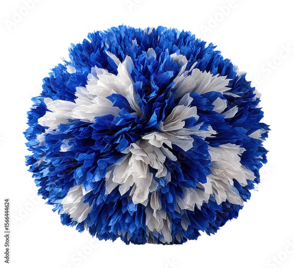 Obraz Cheerleading event pom pom sports field decorative object