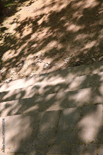 Obraz sun and shadows