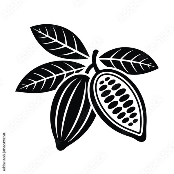 Obraz A black and white minimalist illustration of a cocoa pod and leaves
