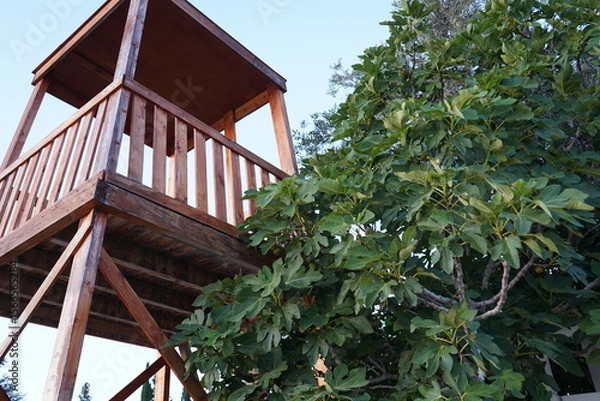 Obraz Wooden lookout tower nestled among lush fig leaves at dusk offers a serene view of the surrounding nature and a moment to reflect in tranquil solitude