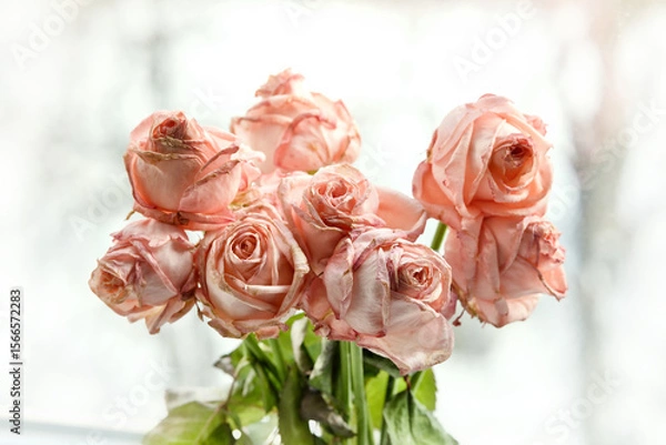 Obraz The bouquet of wilted pink roses