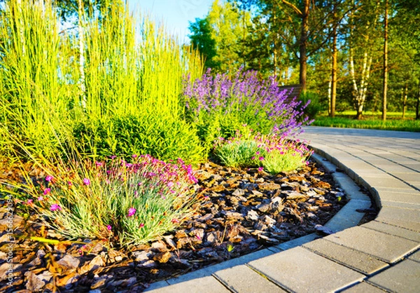 Obraz Landscape Architecture for Public Spaces. Garden Pathway. Walkway in green spaces. Landscape design. Lawn grass, manicured lawn, flowers, shrubs in urbanization. Landscaping for urban spaces.