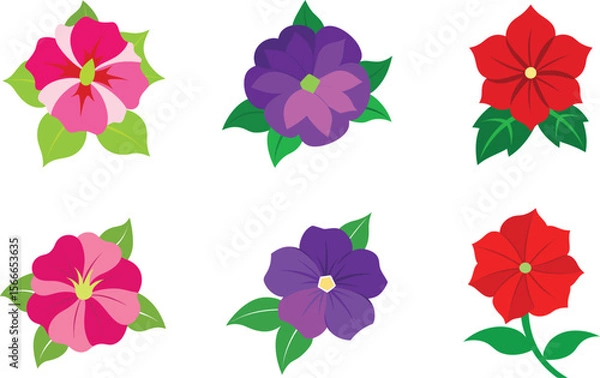 Obraz petunia flower vector in various colors