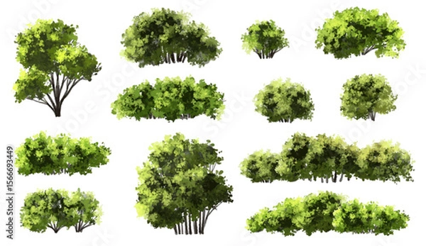 Fototapeta  Vector watercolor green  tree or forest side view isolated on white background for landscape and architecture drawing,elements for environment or and garden,Shrub for section