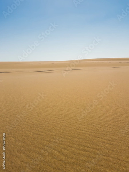 Fototapeta Ash-covered hills in Egypt's Black Desert under a clear sky, scenic and remote landscape. Volcanic	