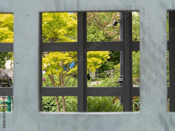 Fototapeta Framed View of a Serene Garden with Vibrant Foliage