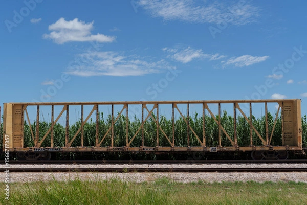 Obraz Long, yellow centerbeam car sits idle in a rail siding on a sunny Texas summer afternoon.