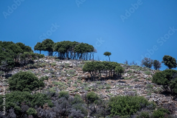 Fototapeta picturesque landscape with a view of the mountains and the sea on the island of Crete