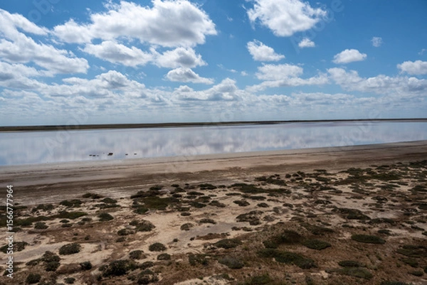 Fototapeta lake with clouds and sky reflected in the water