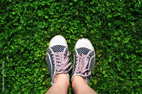 Fototapeta Woman's legs in sneakers on green grass. Concept of summer recreation in nature. Top view. Copy spase.
