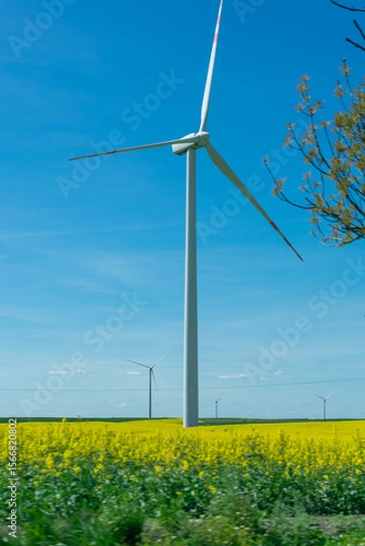 Fototapeta Wind turbine is standing in a field of yellow flowers. There are two other wind turbines in the background.