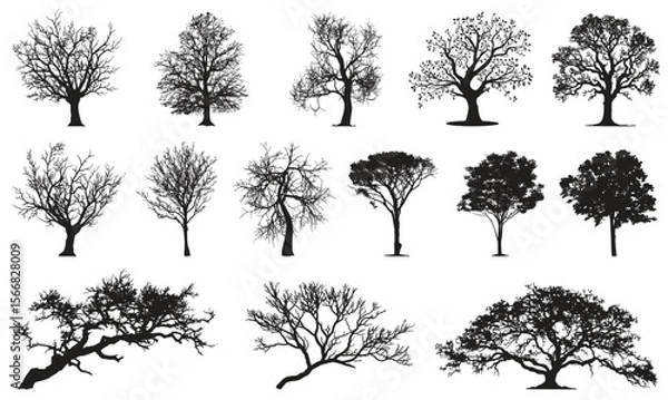 Fototapeta Trees collection silhouette, forest firs and spruces black shapes, wild nature trees templates.