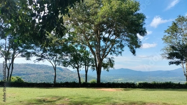 Fototapeta Tree and clouds