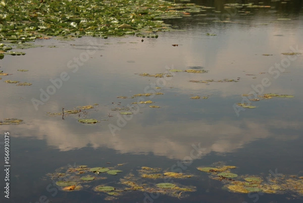 Obraz Reflections of the Sky