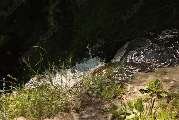 Obraz Splashes of Water