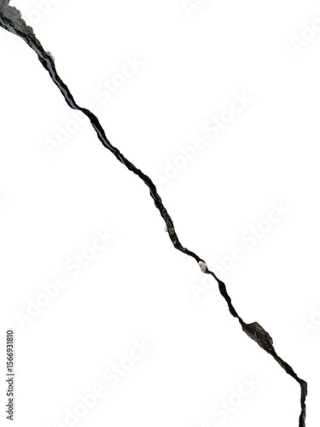 Fototapeta Long vertical wet asphalt crack with moss is isolated.
