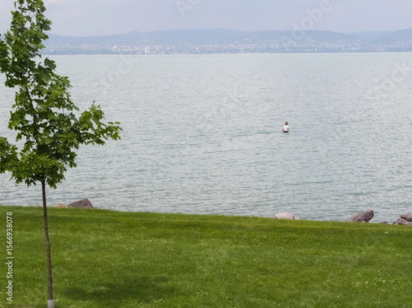 Fototapeta Person Wading in Lake Balaton