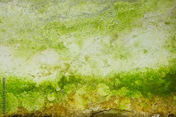 Obraz mossy grunge texture