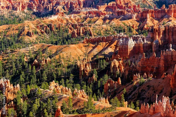Fototapeta Bryce Canyon National Park in Utah,
one of the most beautiful national parks in the world