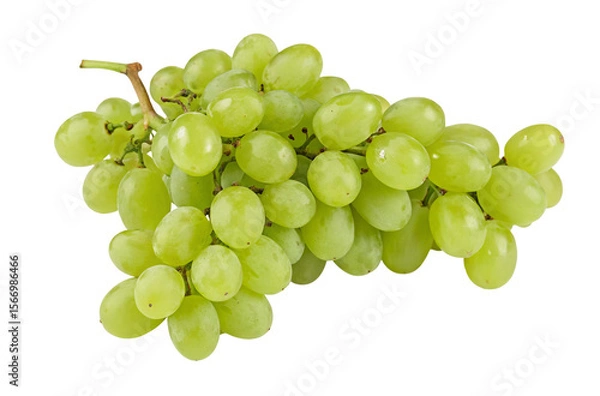 Fototapeta A bunch of fresh green grapes isolated on a plain white background ready to be eaten today