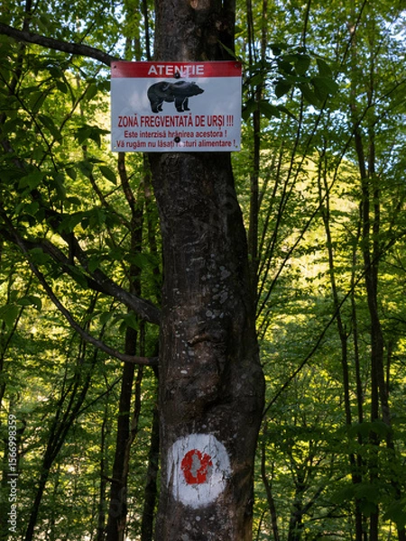 Obraz Trail with red dot trail sign and bear warning sign in Romanian forest
